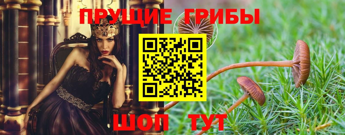 дарнет шоп  Вход с VPN  Ставрополь  Галлюциногенные грибы ЛСД 